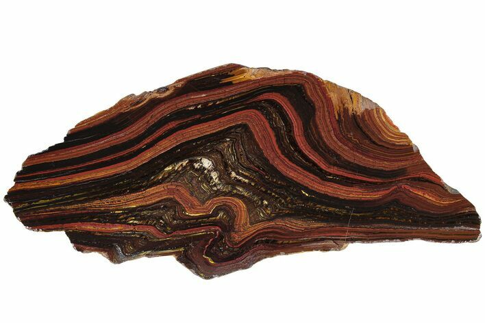Polished Tiger Iron Stromatolite Slab - Billion Years #185957